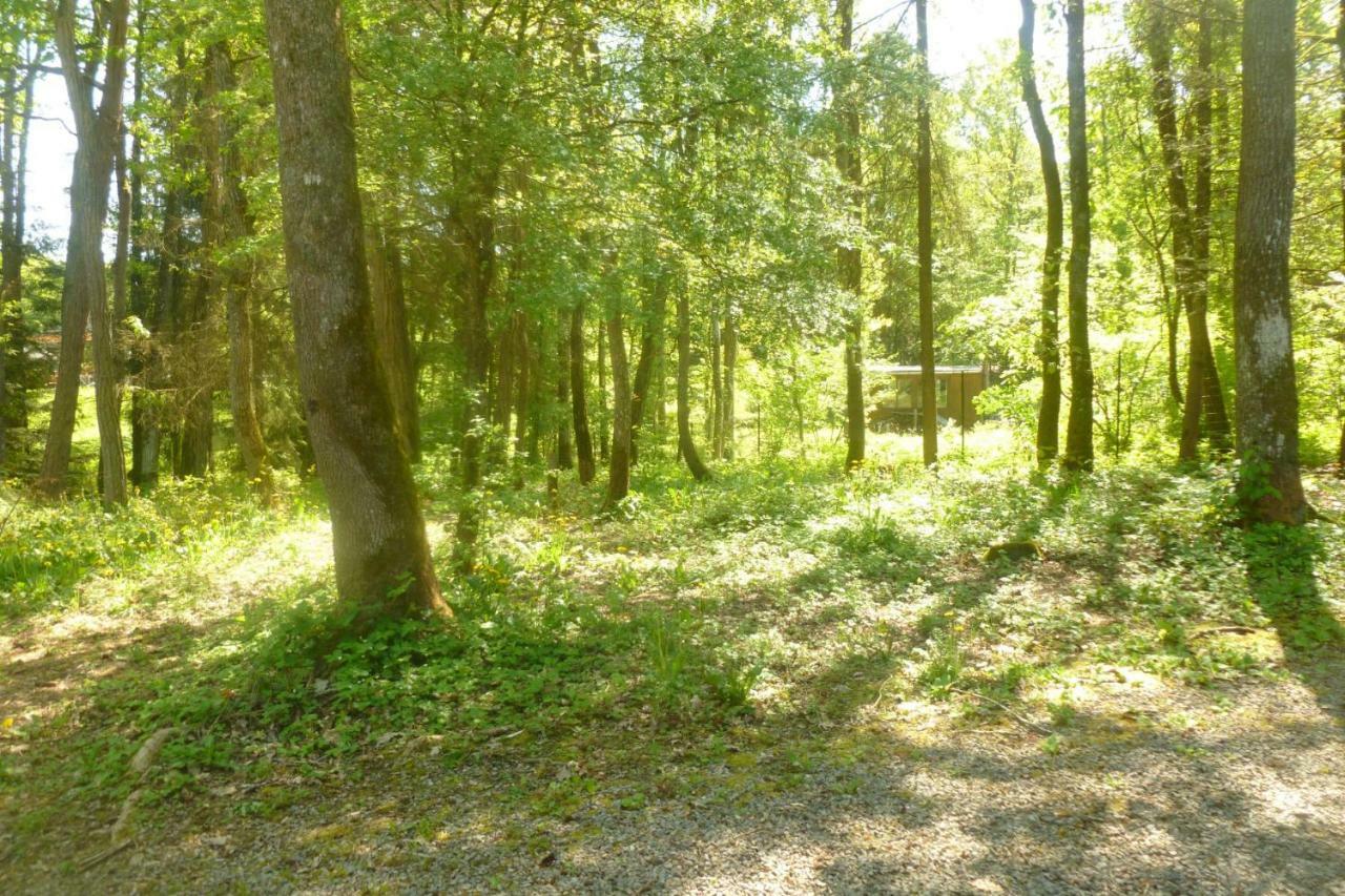 A L'Oree Du Bois Érezée Exteriér fotografie